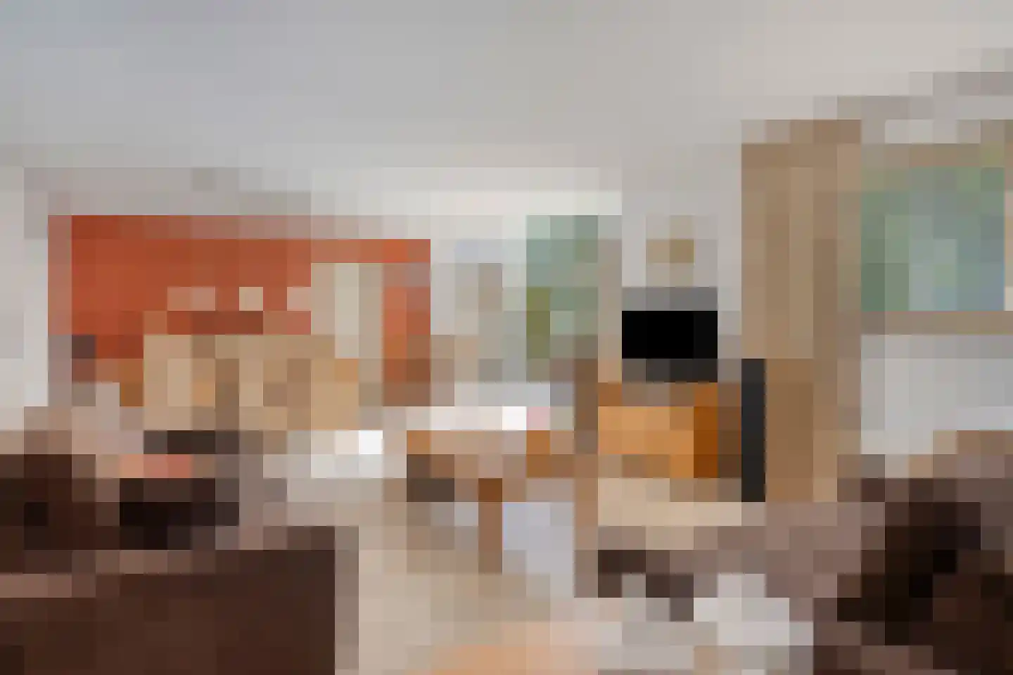 Zuring 27 Cuijk thumbnail 15