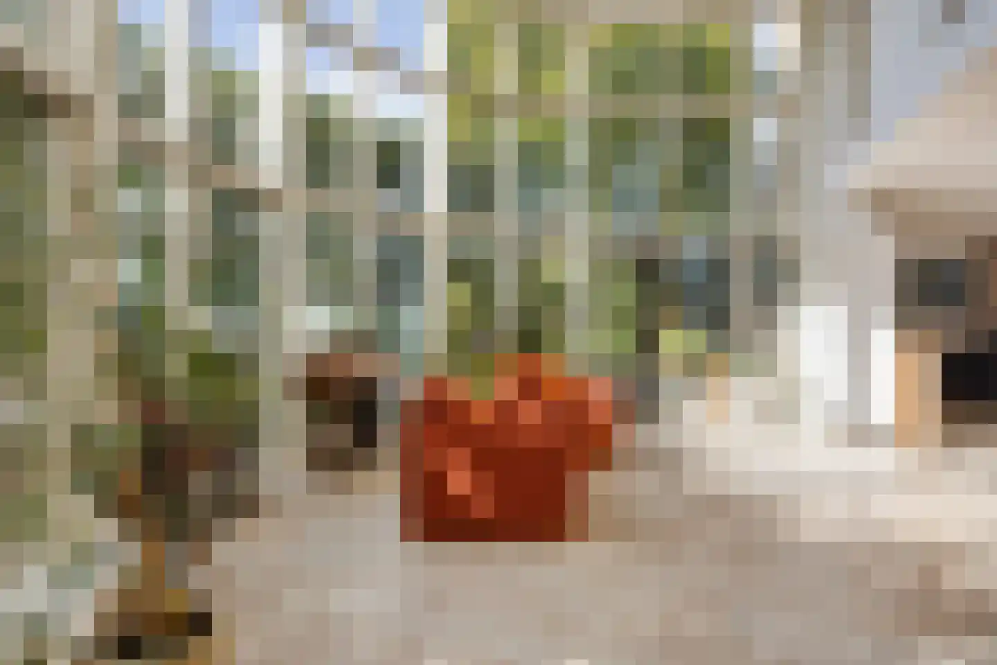 Zuring 27 Cuijk thumbnail 19