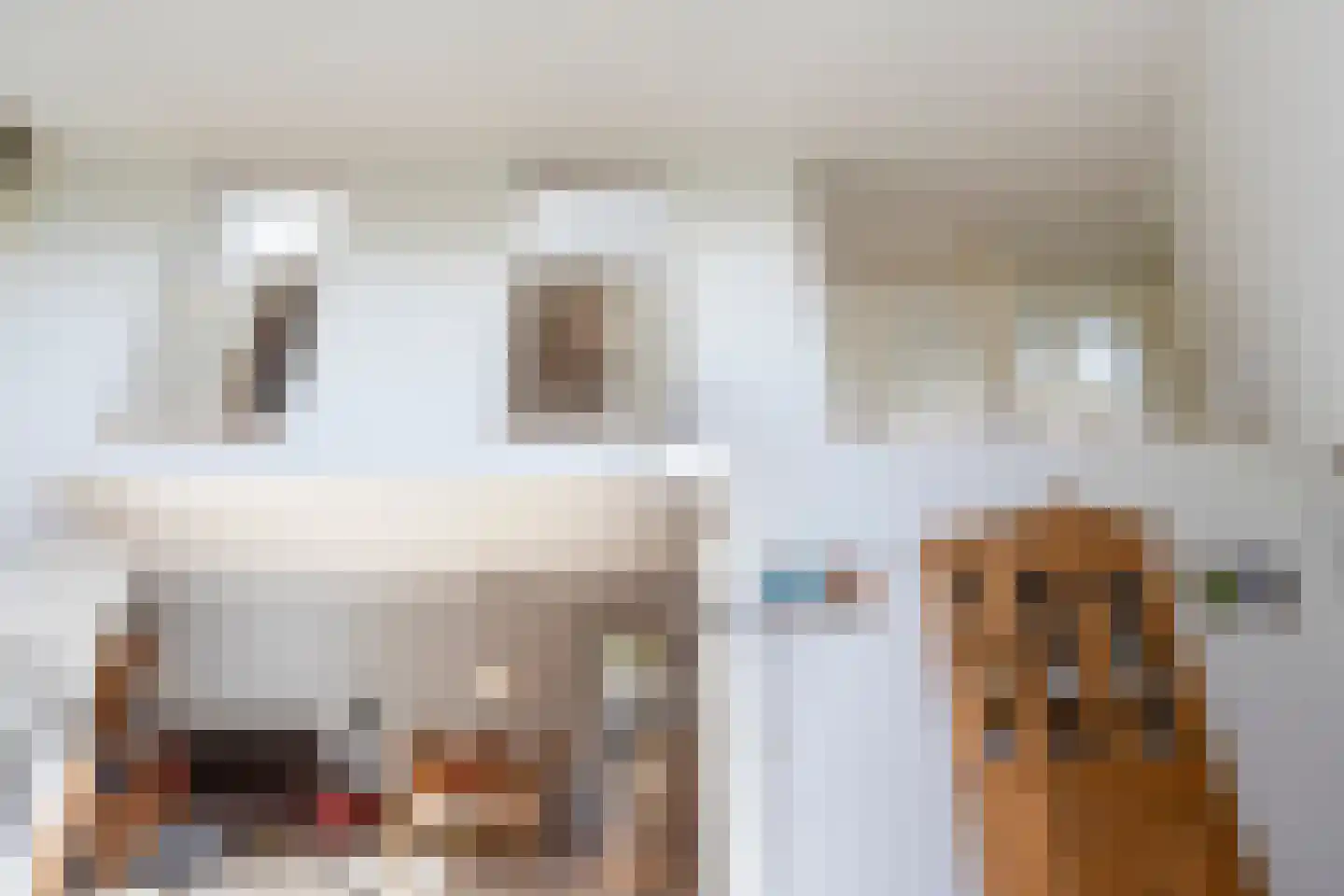 Zuring 27 Cuijk thumbnail 20