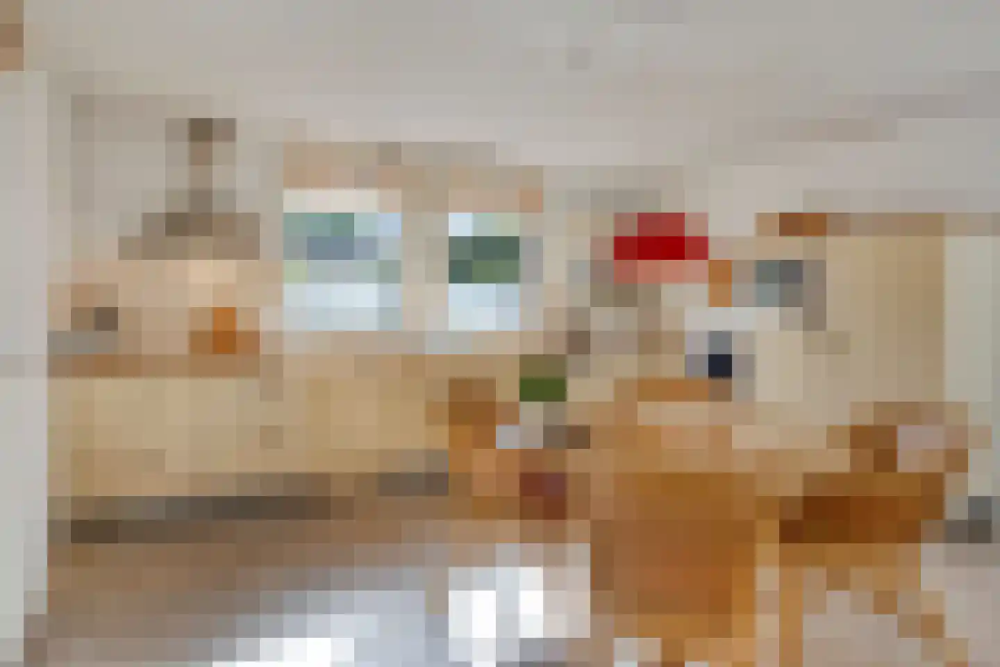 Zuring 27 Cuijk thumbnail 22