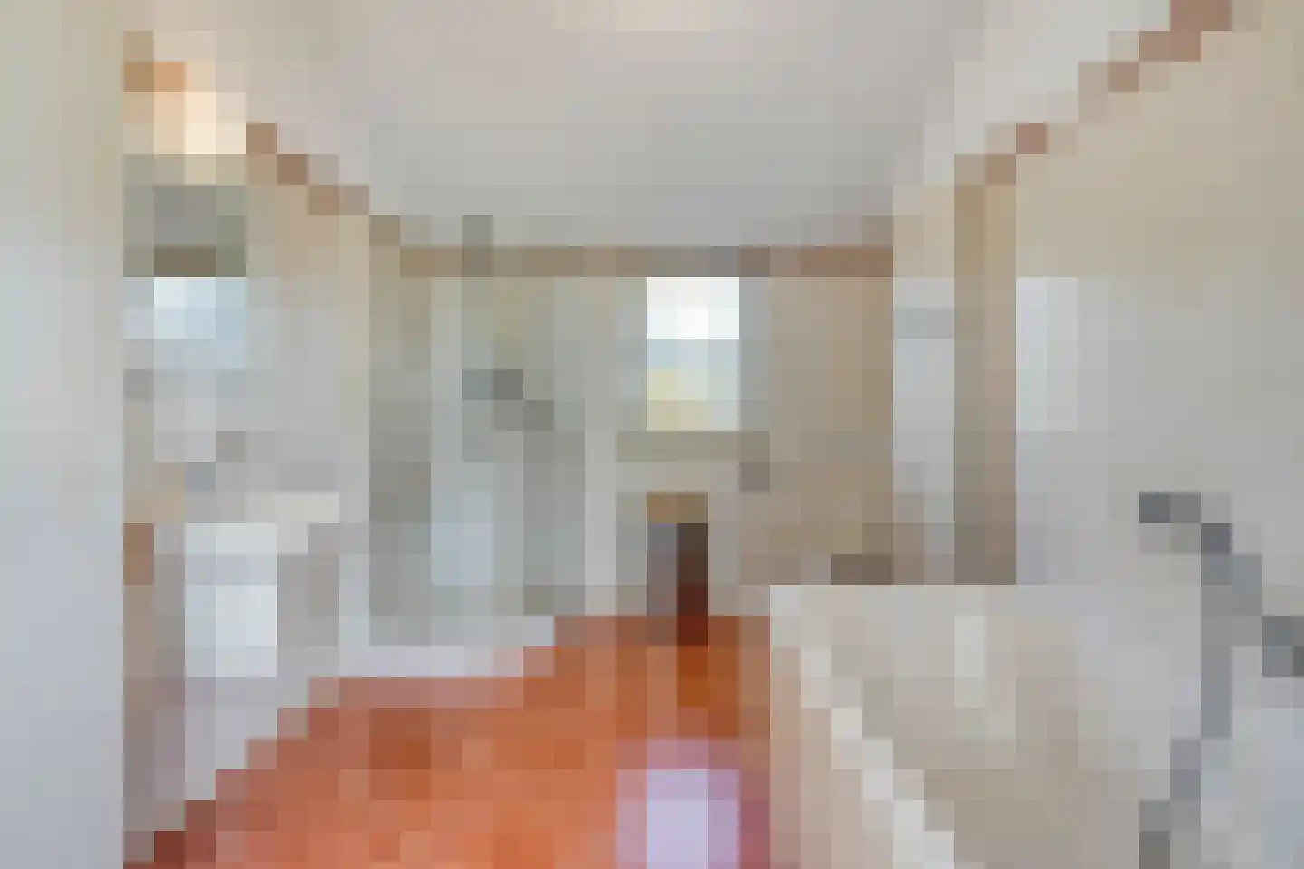 Zuring 27 Cuijk thumbnail 30