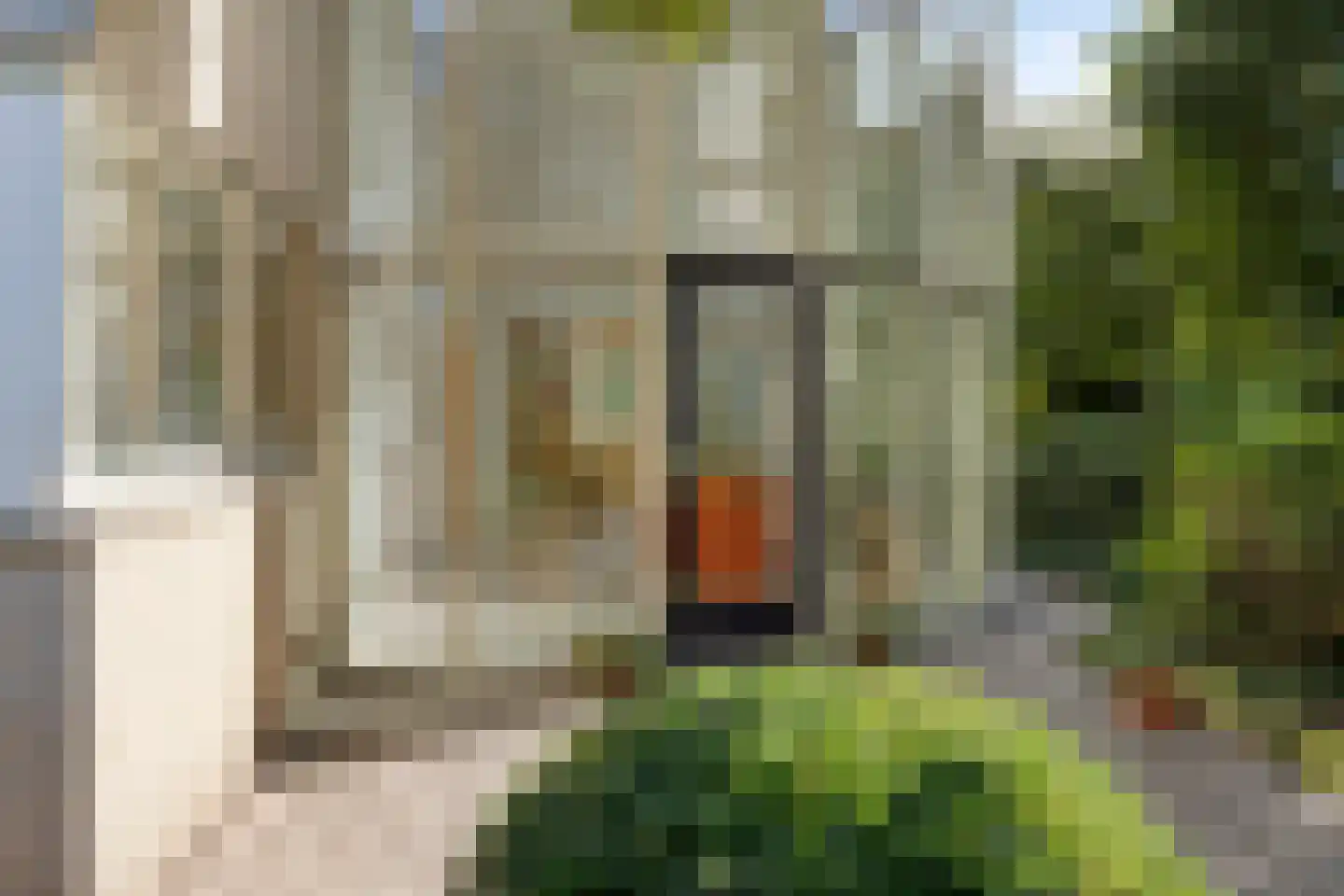Zuring 27 Cuijk thumbnail 36