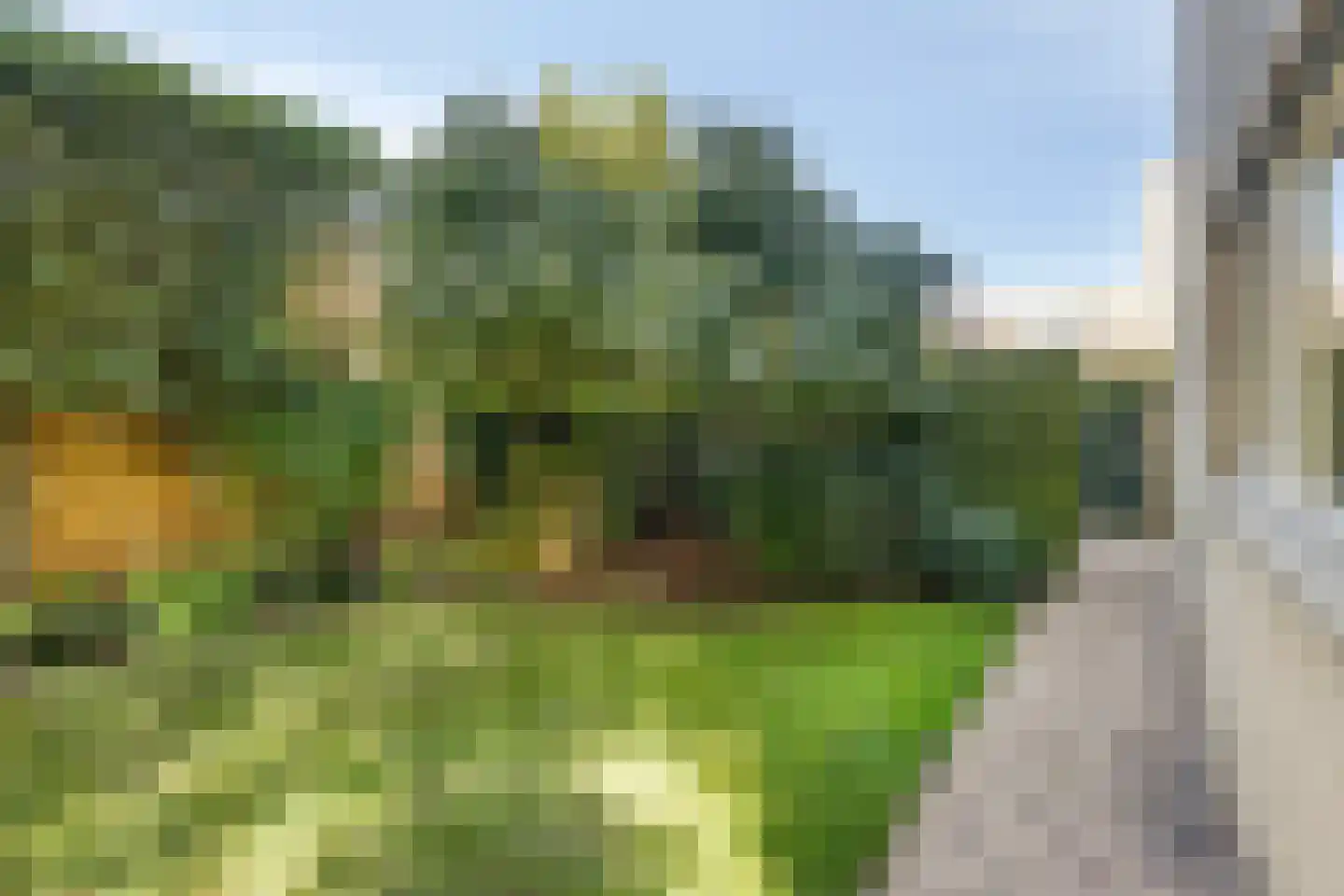 Zuring 27 Cuijk thumbnail 37