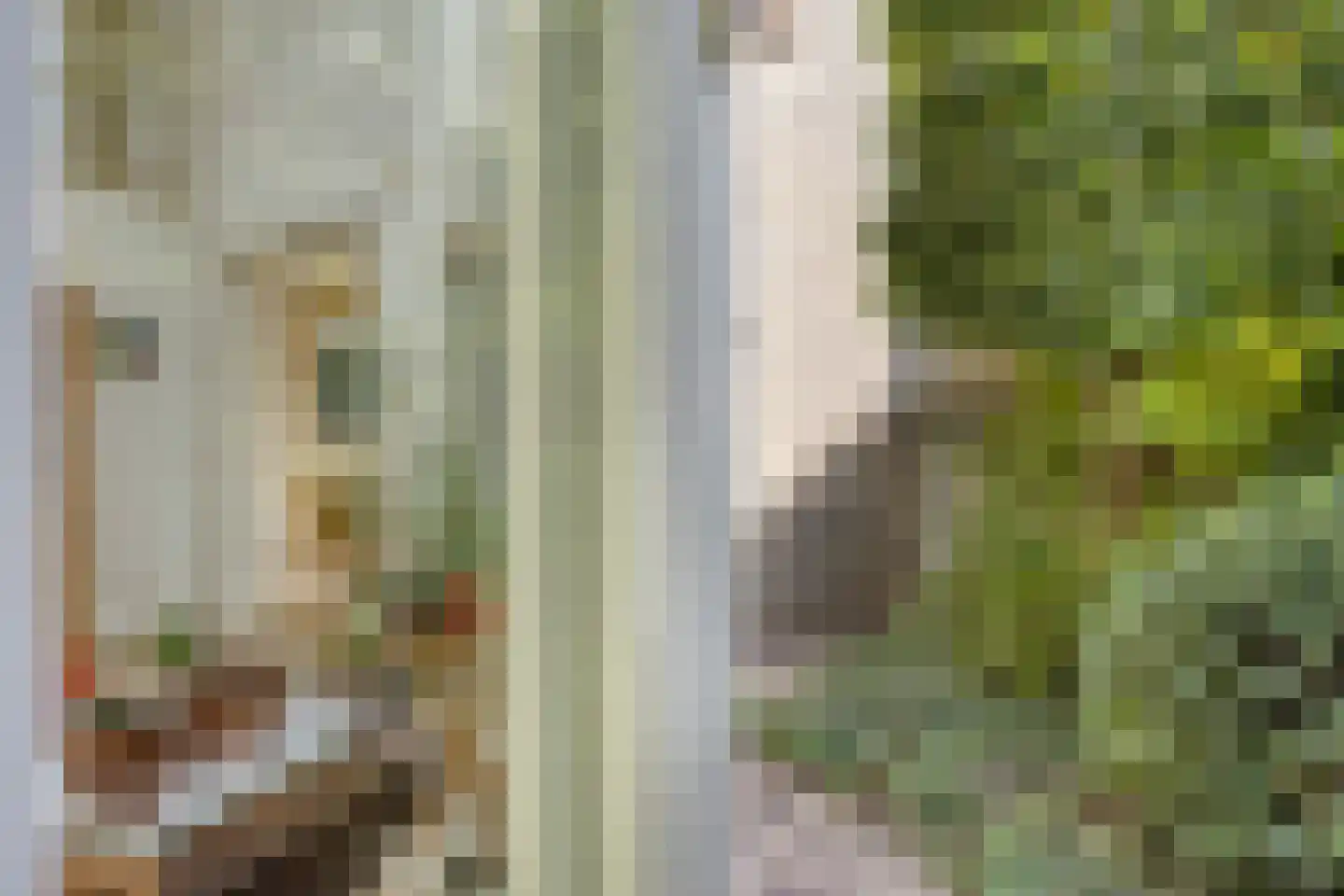 Zuring 27 Cuijk thumbnail 38