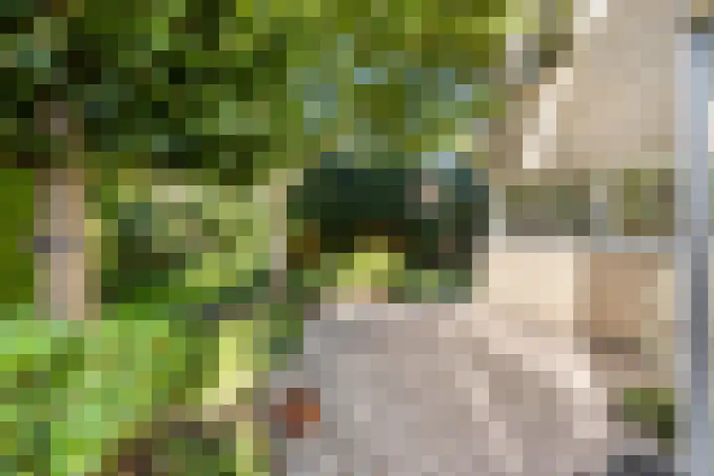 Zuring 27 Cuijk thumbnail 39