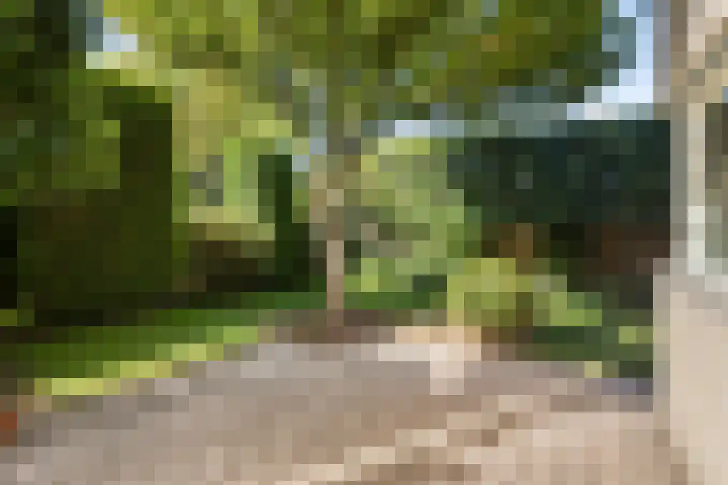 Zuring 27 Cuijk thumbnail 40