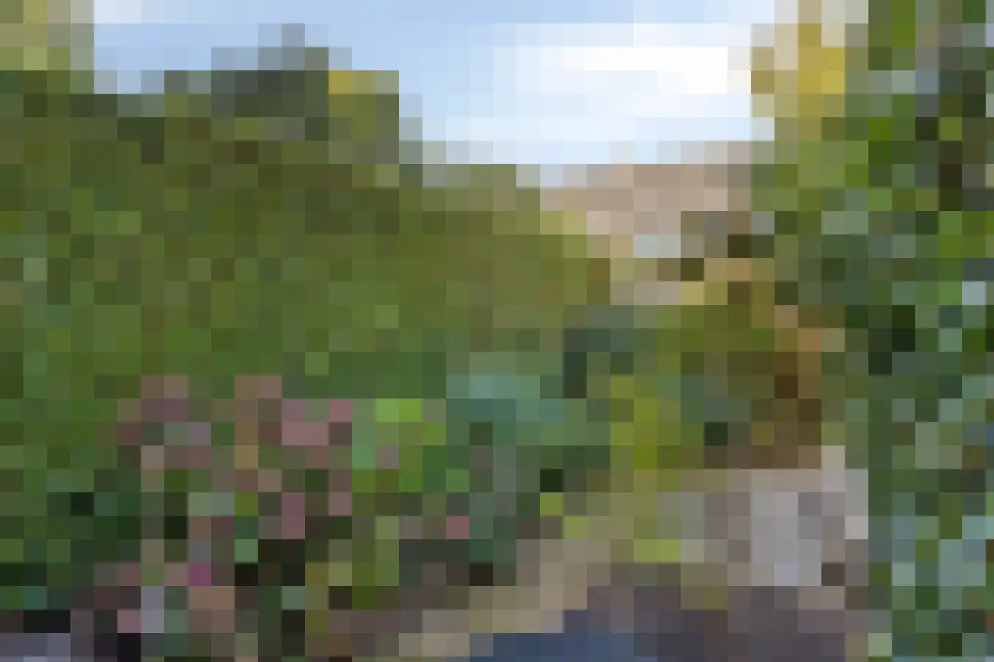 Zuring 27 Cuijk thumbnail 41