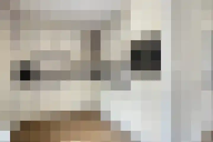 Zuring 38 Klazienaveen thumbnail 19