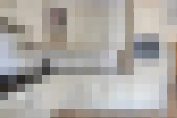 Zuring 38 Klazienaveen thumbnail 20