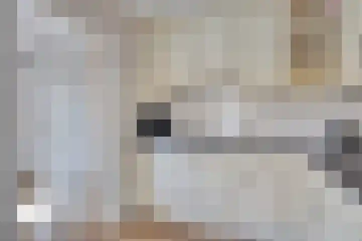 Zuring 38 Klazienaveen thumbnail 21