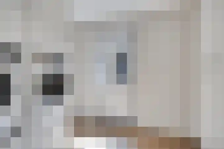 Zuring 38 Klazienaveen thumbnail 23