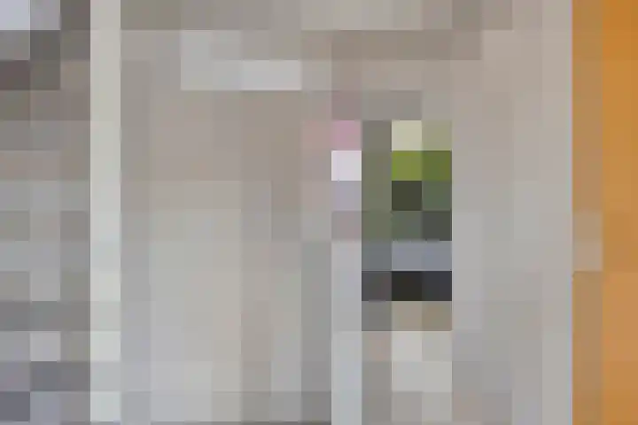 Zuring 38 Klazienaveen thumbnail 24