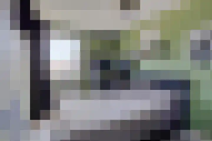 Zuring 38 Klazienaveen thumbnail 31