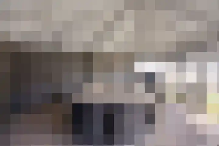 Zuring 38 Klazienaveen thumbnail 40