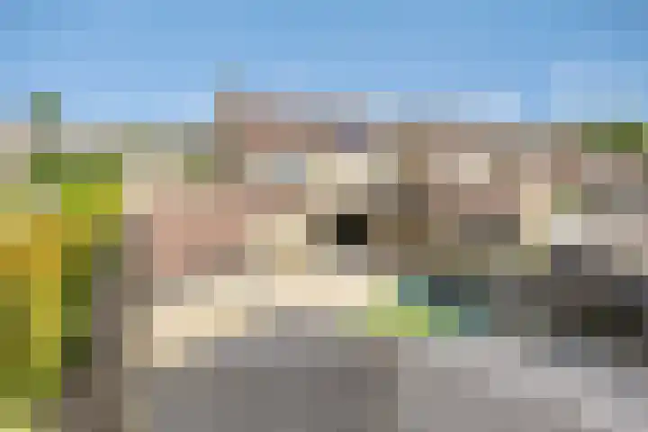 Zuring 38 Klazienaveen thumbnail 41