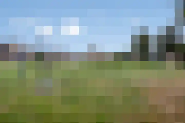 Zuring 38 Klazienaveen thumbnail 46