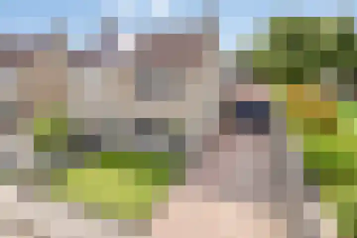 Zuring 38 Klazienaveen thumbnail 6