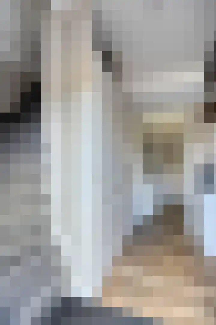 Zuring 38 Klazienaveen thumbnail 7