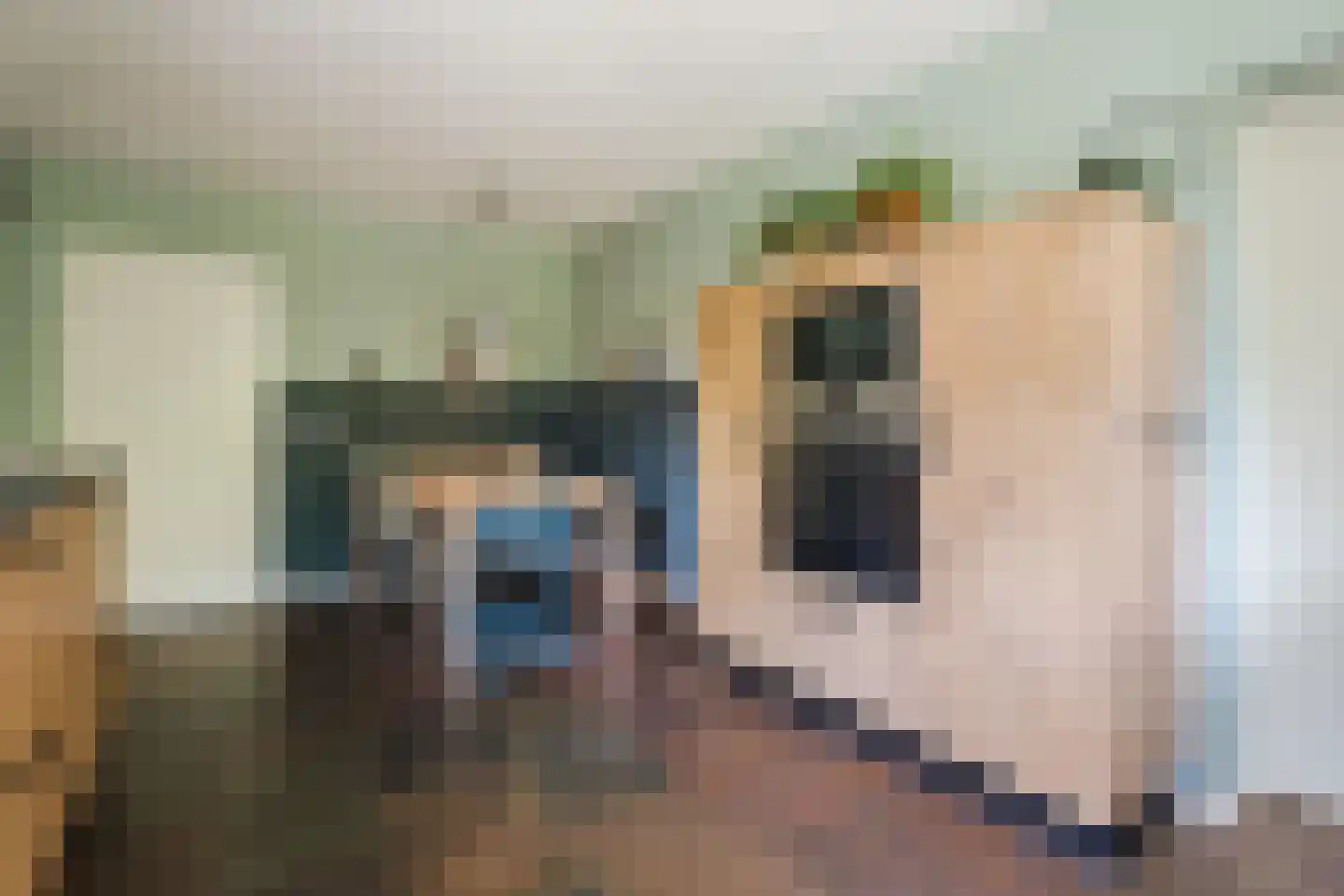 Zuring 58 Cuijk thumbnail 16
