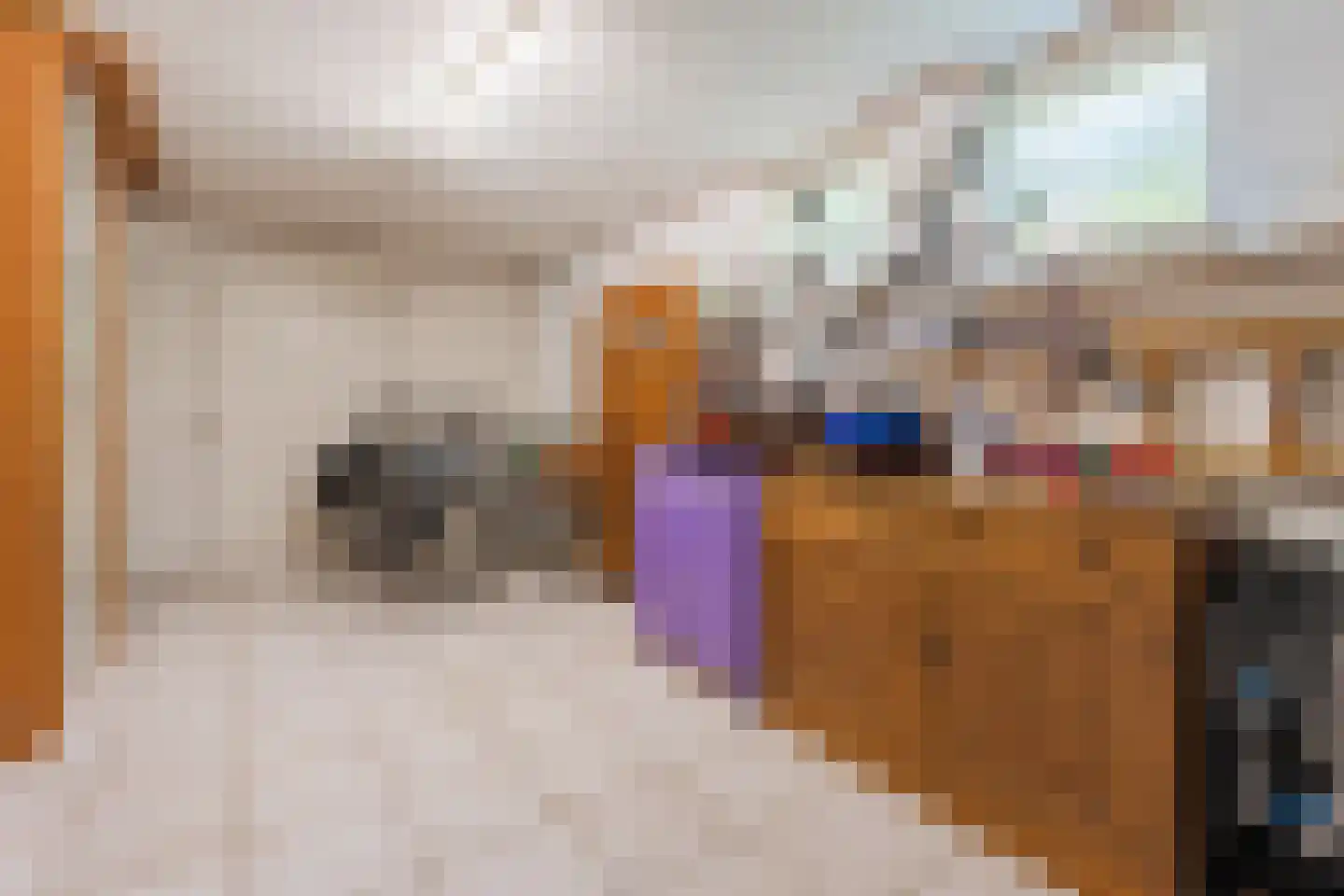 Zuring 58 Cuijk thumbnail 19