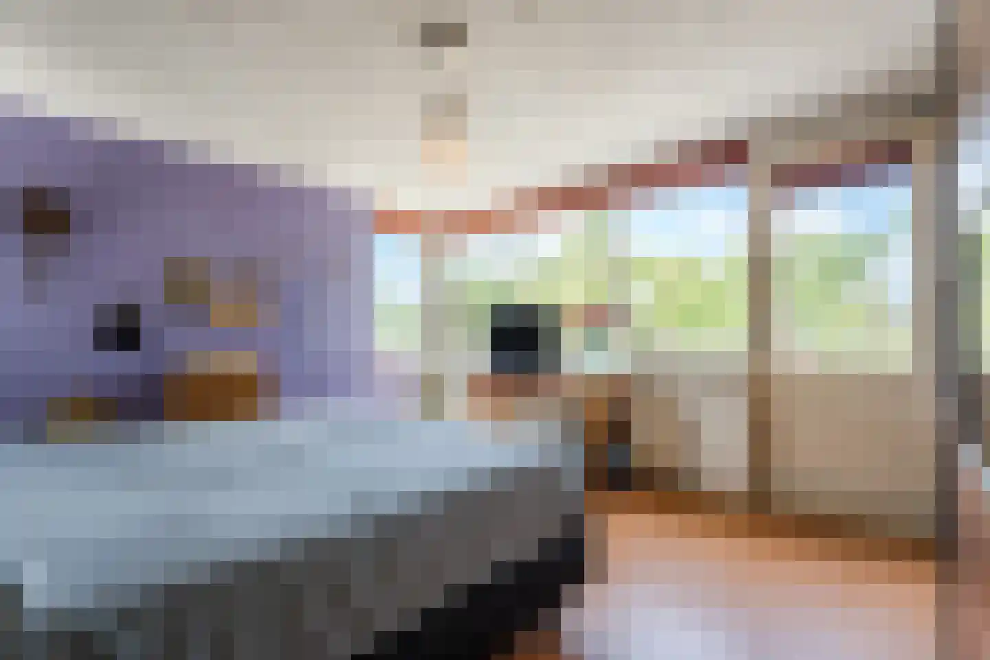 Zuring 58 Cuijk thumbnail 21