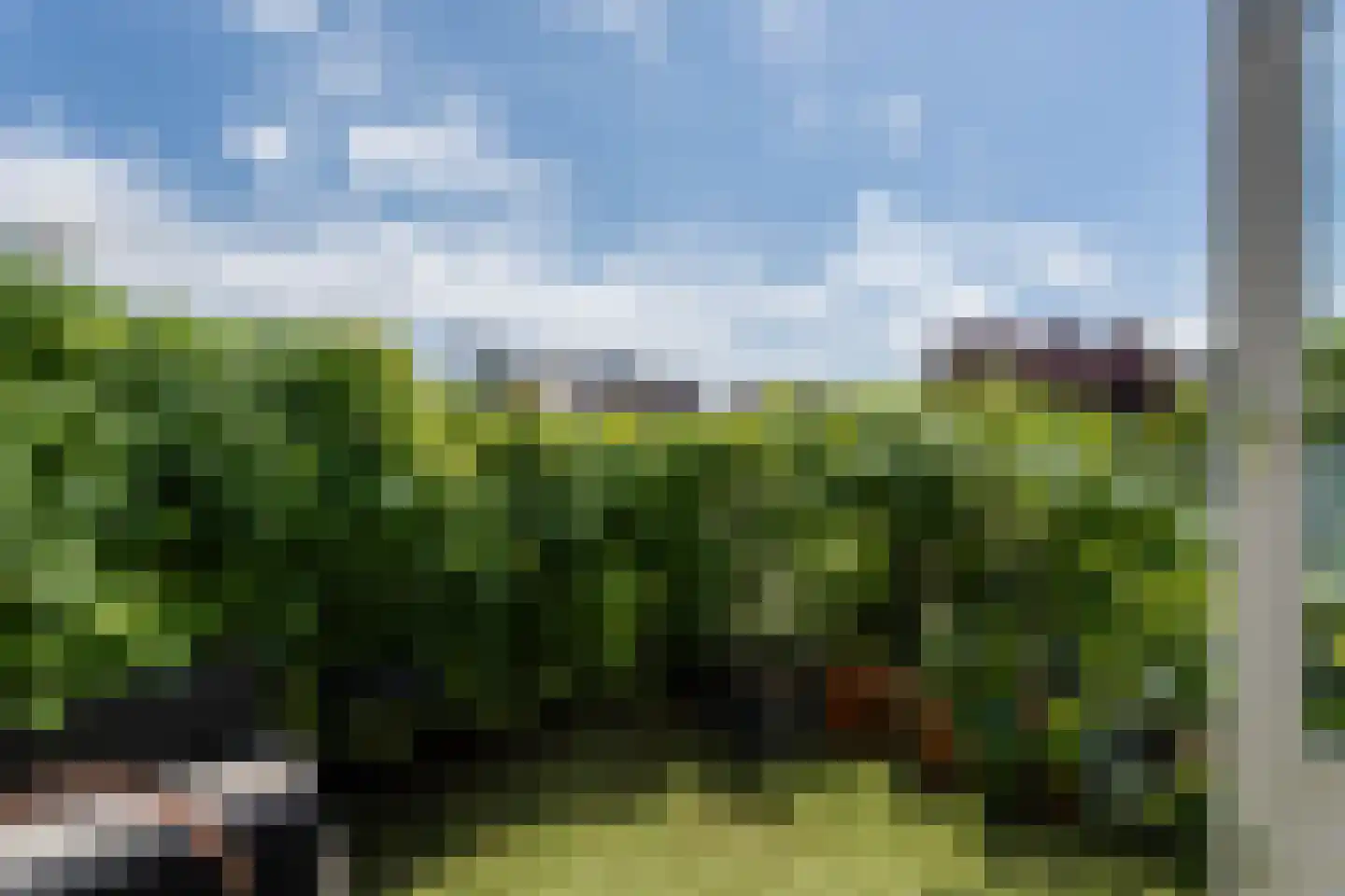Zuring 58 Cuijk thumbnail 26