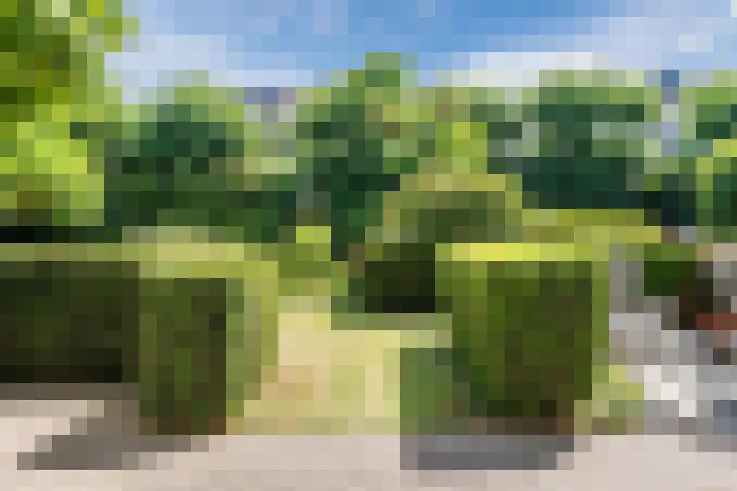 Zuring 58 Cuijk thumbnail 35