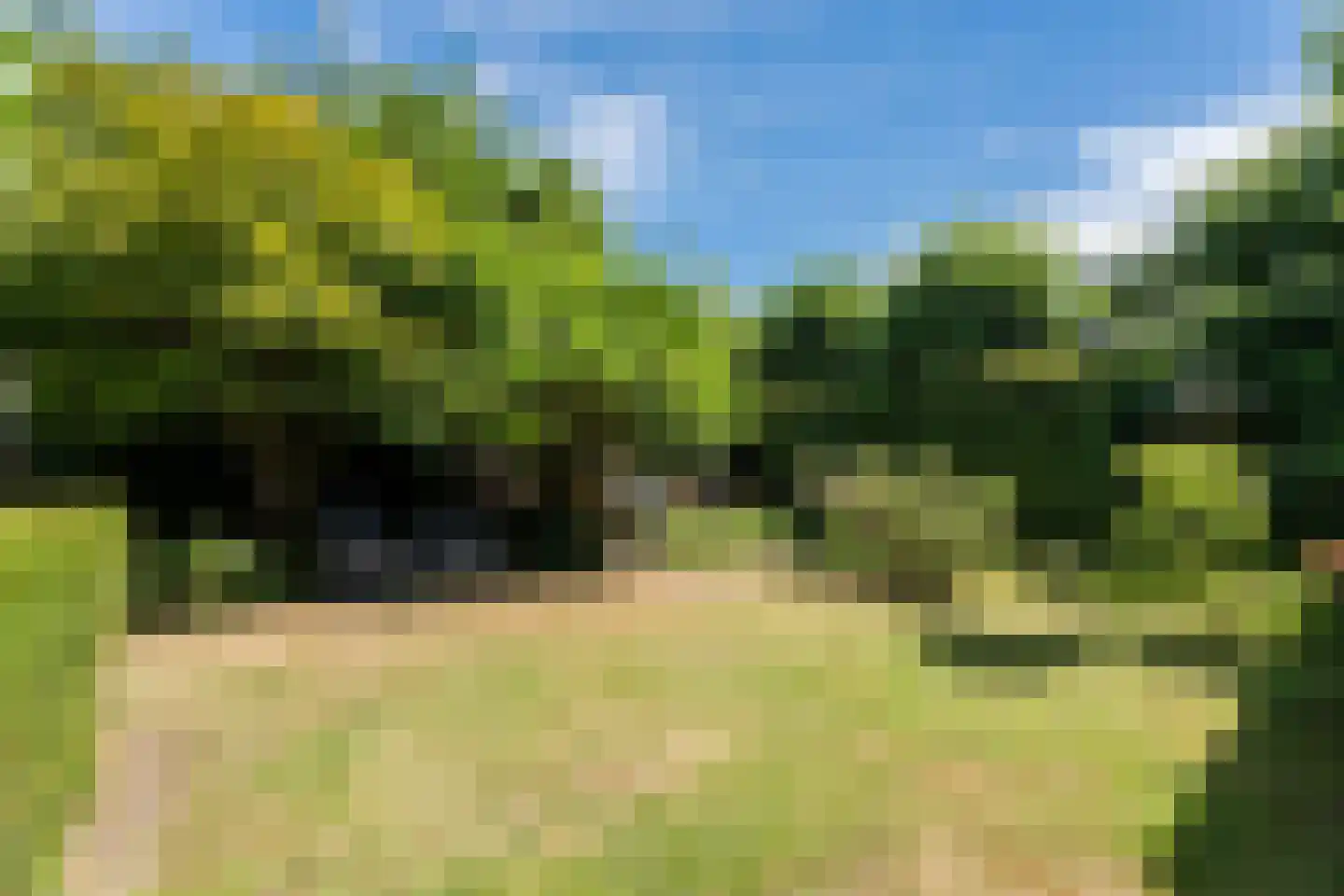 Zuring 58 Cuijk thumbnail 36