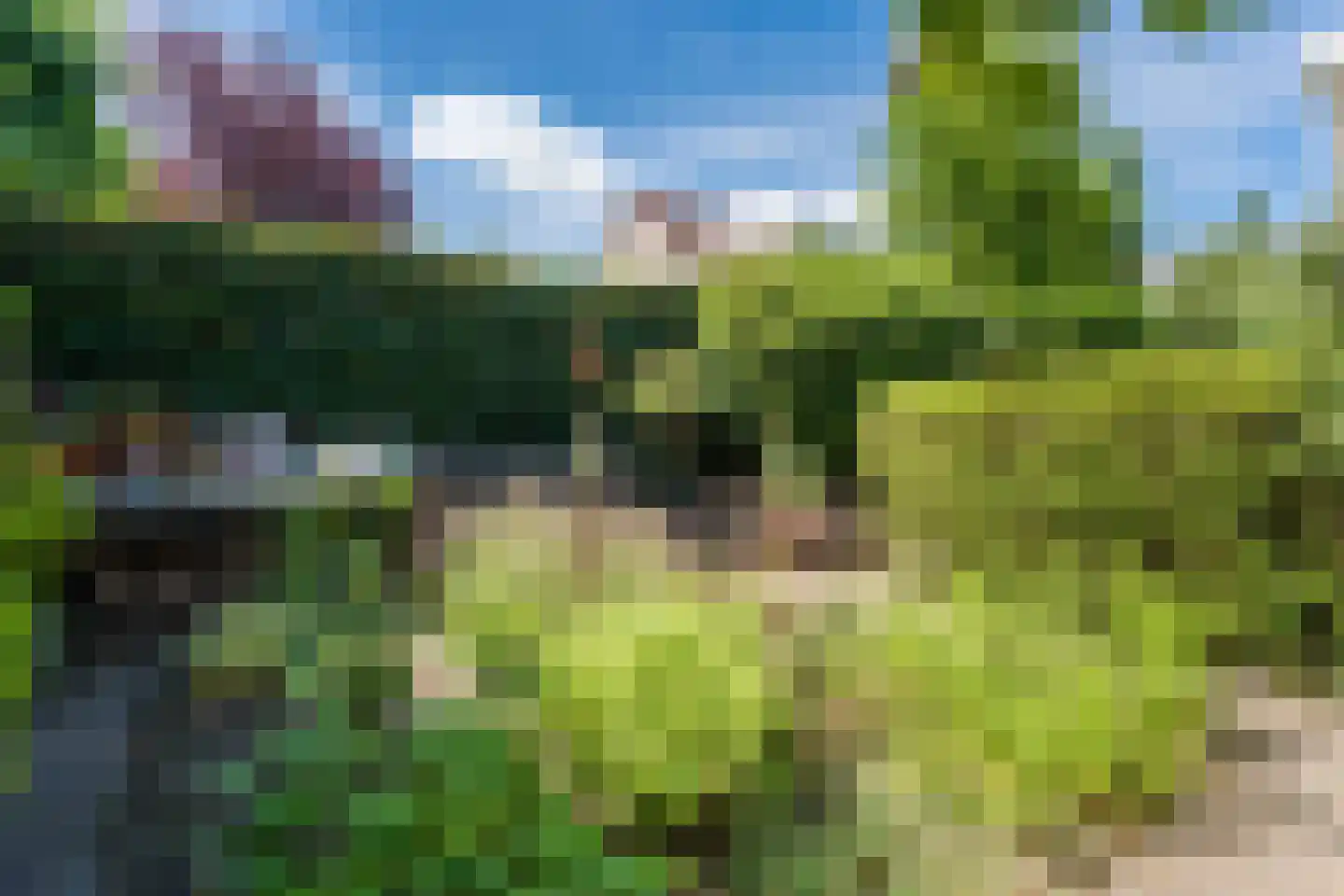 Zuring 58 Cuijk thumbnail 37