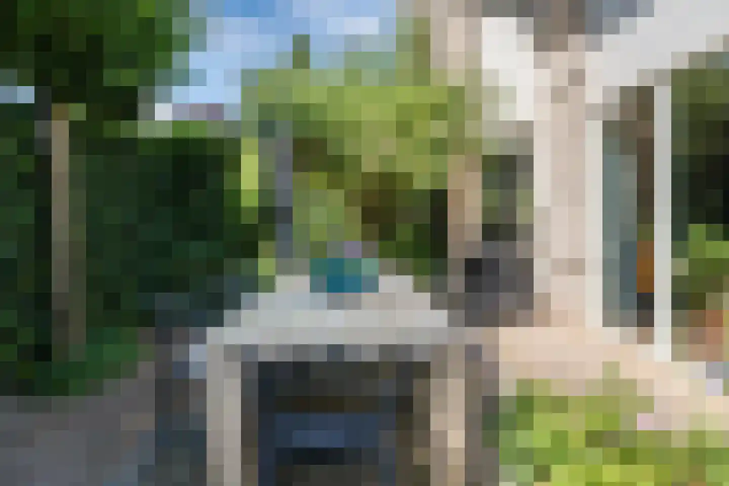 Zuring 58 Cuijk thumbnail 40
