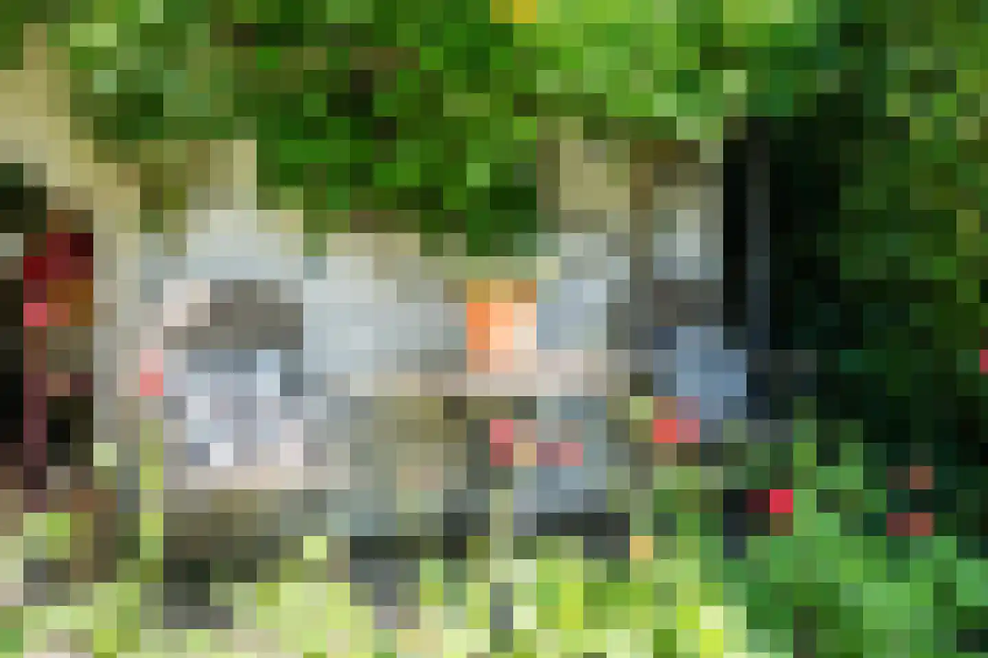 Zuring 58 Cuijk thumbnail 41