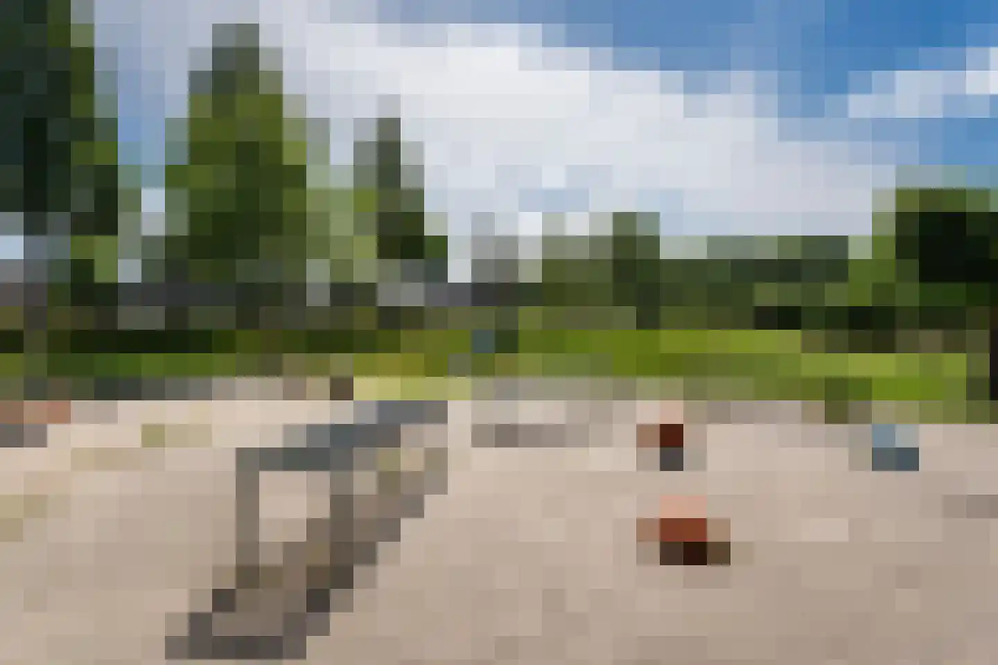 Zuring 58 Cuijk thumbnail 43
