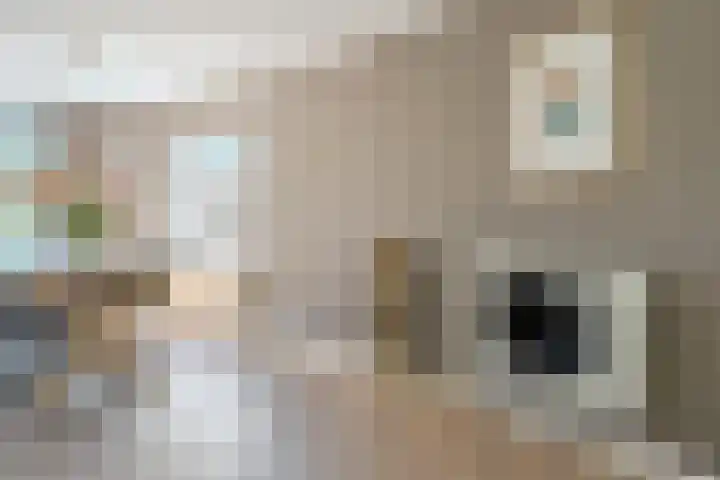 Zuring 80 Cuijk thumbnail 12