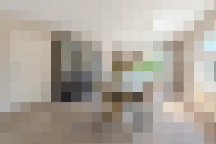 Zuring 80 Cuijk thumbnail 13