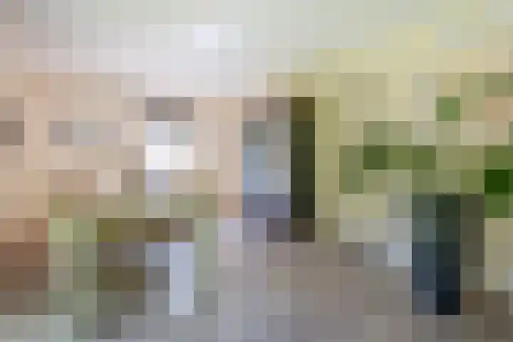Zuring 80 Cuijk thumbnail 16