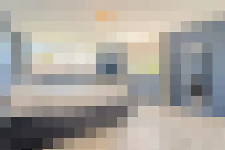 Zuring 80 Cuijk thumbnail 19