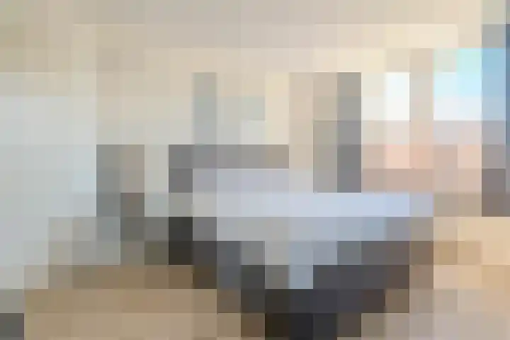 Zuring 80 Cuijk thumbnail 22
