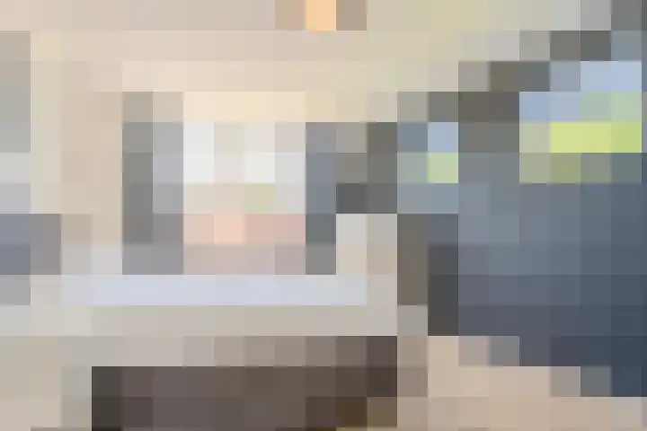 Zuring 80 Cuijk thumbnail 23