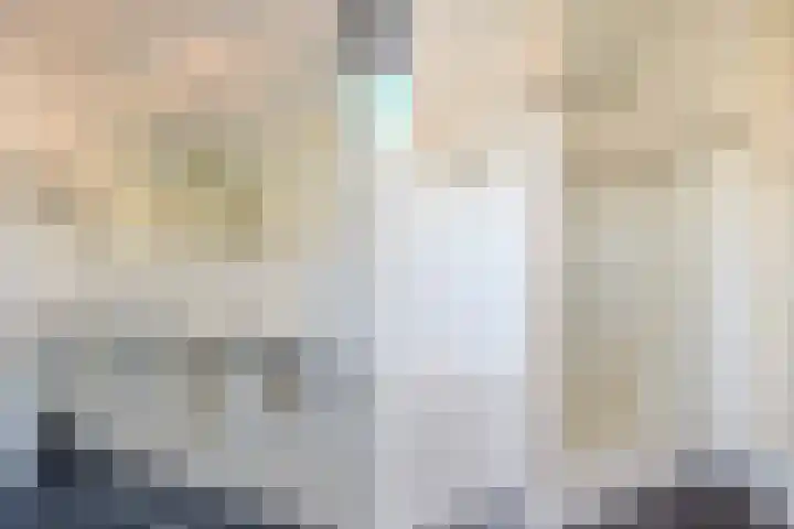 Zuring 80 Cuijk thumbnail 25