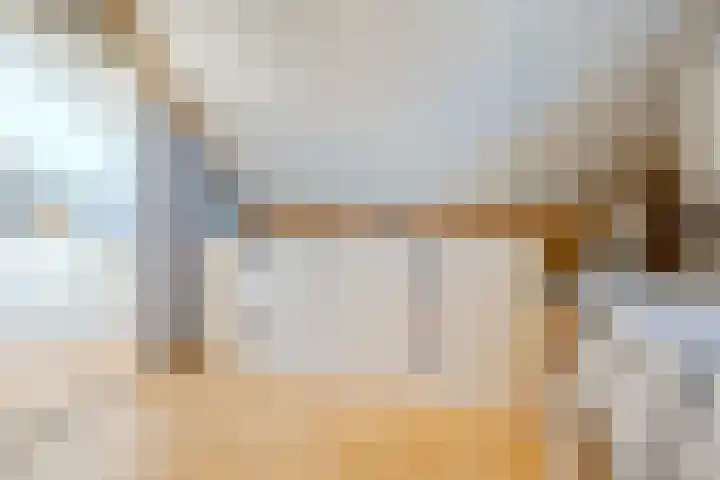 Zuring 80 Cuijk thumbnail 27