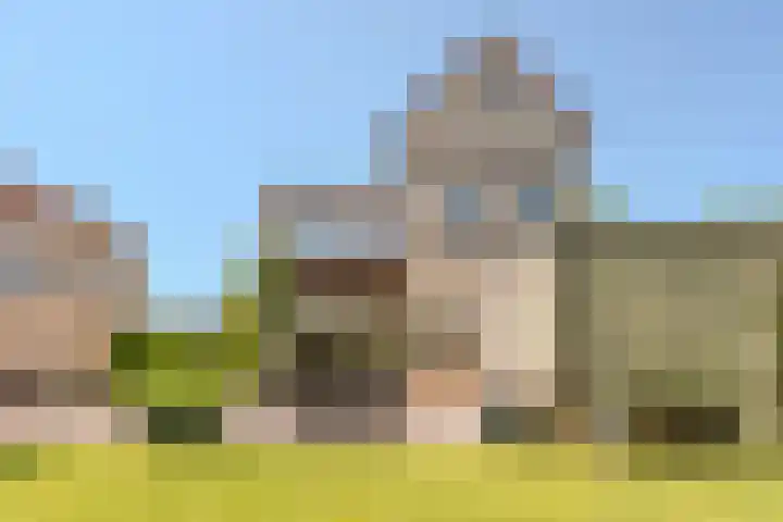 Zuring 80 Cuijk thumbnail 30