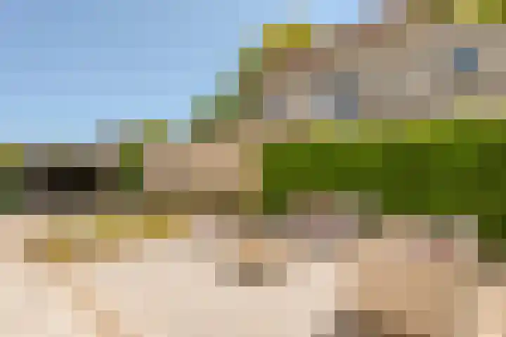 Zuring 80 Cuijk thumbnail 33