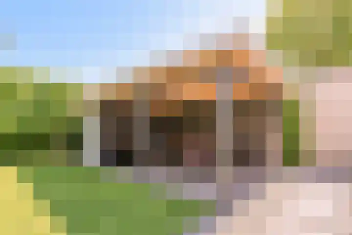 Zuring 80 Cuijk thumbnail 35