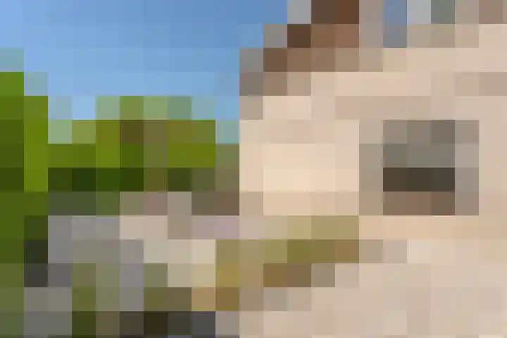 Zuring 80 Cuijk thumbnail 36