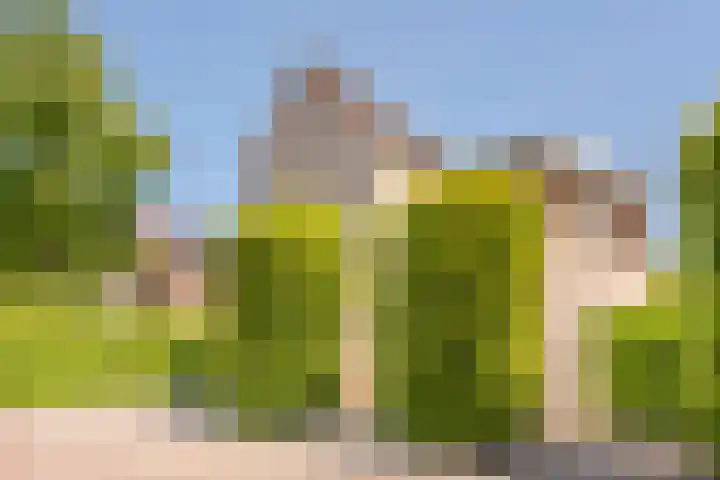 Zuring 80 Cuijk thumbnail 37