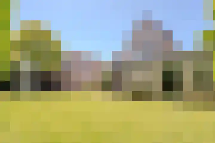 Zuring 80 Cuijk thumbnail 5
