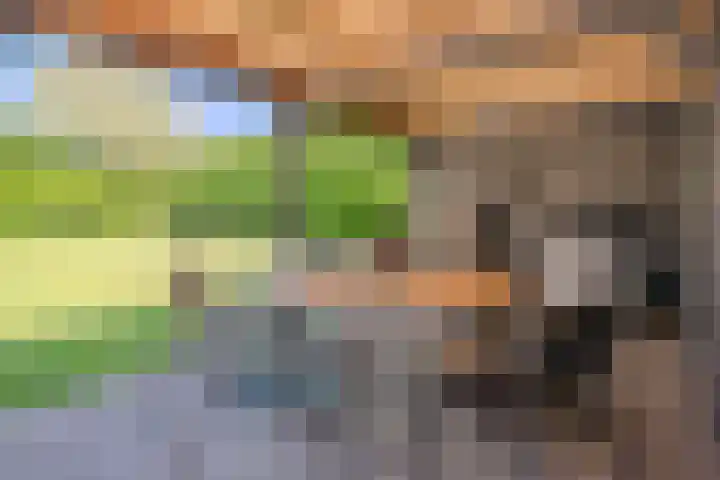 Zuring 80 Cuijk thumbnail 6