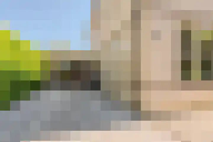 Zuring 80 Cuijk thumbnail 7