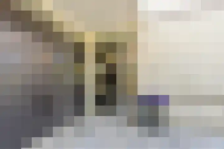 Zuring 80 Cuijk thumbnail 8