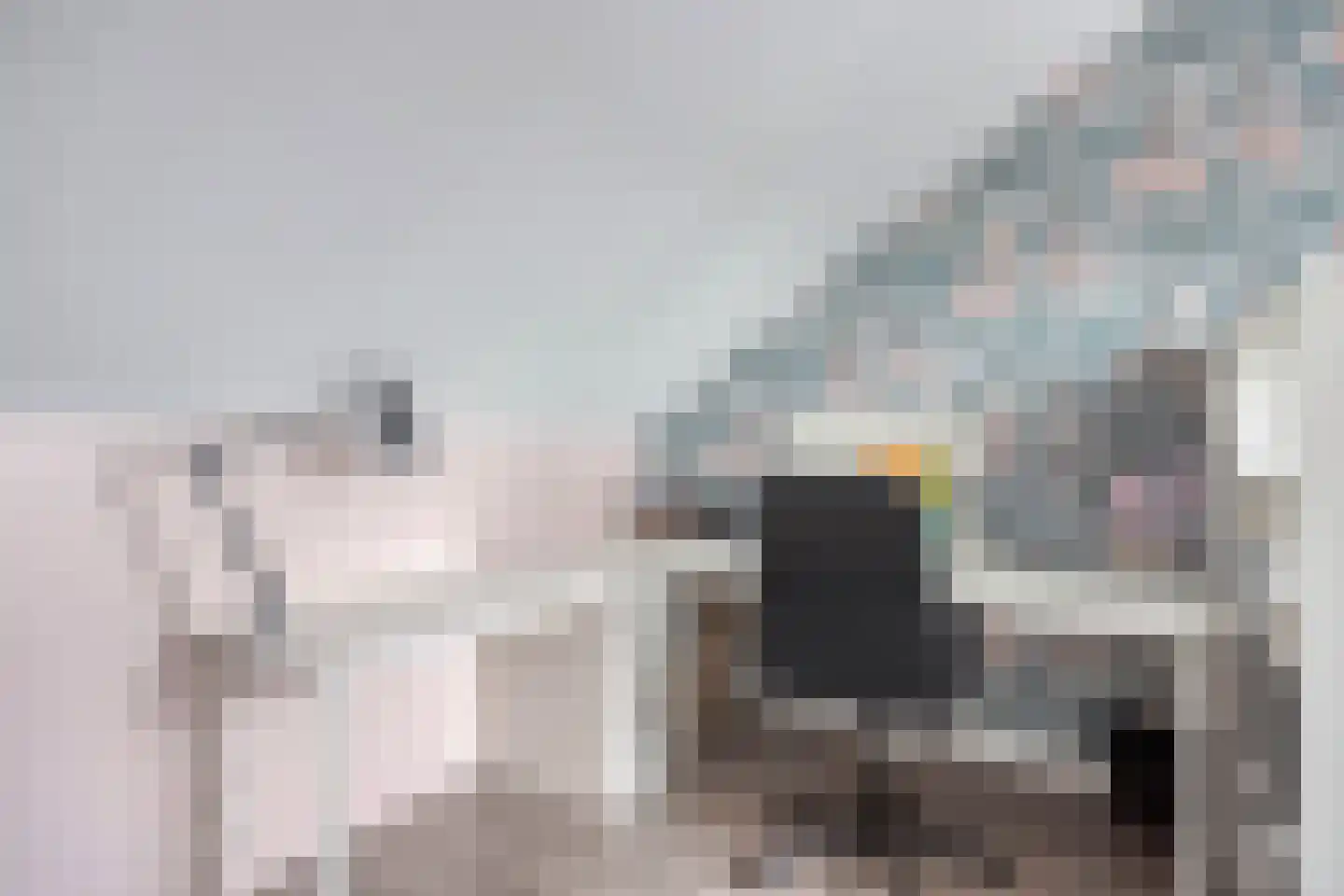 Zuring 85 Klazienaveen thumbnail 17